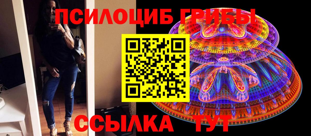 Псилоцибиновые грибы MAGIC MUSHROOMS  Вход с VPN  Изобильный 