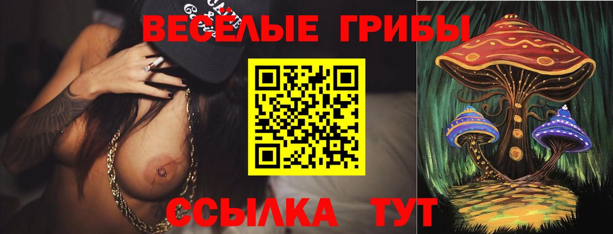 Псилоцибиновые грибы мицелий Изобильный